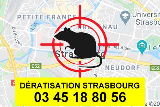 DÉRATISATION STRASBOURG